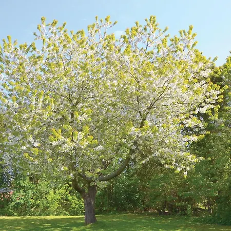 Cozy In With Wifi * Græsted