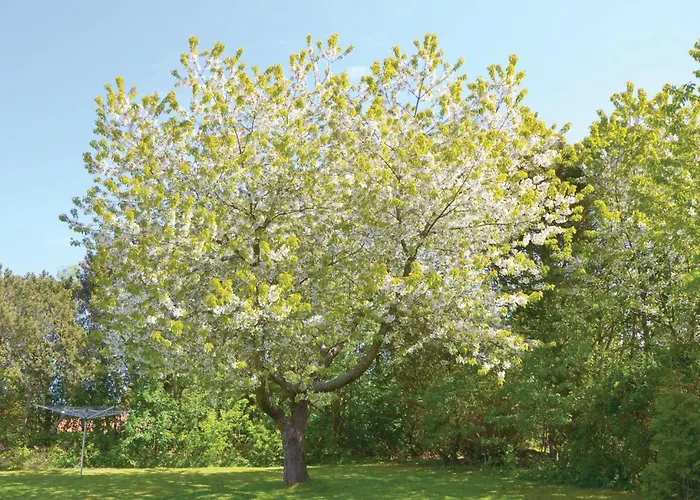 Cozy In With Wifi * Græsted